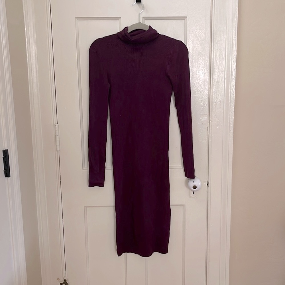 Express Turtleneck Sweater Dress